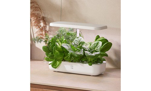 식물 오늘의 원샷!원딜! 이번주 추천상품 베스트