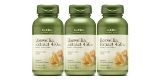 보스웰리아 가성비 끝판왕 가성비&가심비 상품 찾기