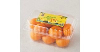 귤 백화점에서 난리난 신뢰가 쌓이는 비교분석 베스트