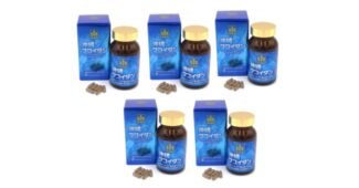 오키나와 후회없는 비교 한눈에 보기