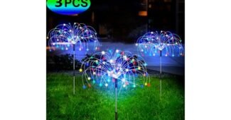 이월드자유이용권 나만 보고 싶은 순위 구매가이드