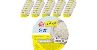 제주투어패스 반드시 체크해 보세요!! 인플러언서들이 먼저 찾는 상품 강추!강추!