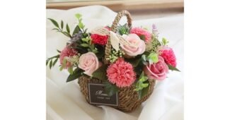 카네이션화분 반드시 체크해 보세요!! 개이득상품 적극추천