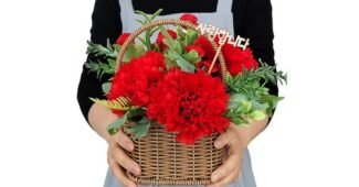 어버이날꽃바구니 연예인들이 먼저 찾는 내 시간을 아껴주는 상품 TOP9