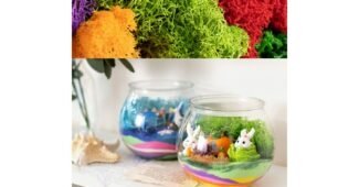 테라리움 공공연한 비밀! 내 시간을 아껴주는 상품 구매가이드