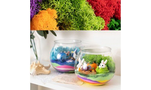 테라리움 공공연한 비밀! 내 시간을 아껴주는 상품 구매가이드