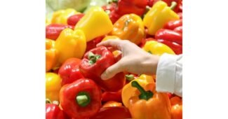 파프리카 기똥찬제안! 개이득상품 찾기