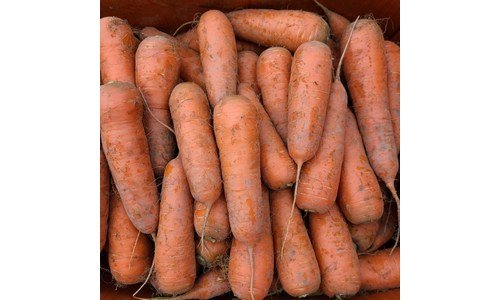 당근 신뢰할 수 있는 추천코스! 내 시간을 아껴주는 상품 구매포인트