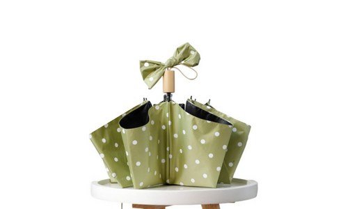 닥스양산 지금이 최고의 타이밍! 이번주 추천상품 베스트