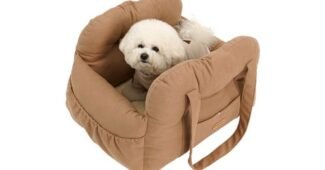 강아지카시트 홈쇼핑MD가 추천하는 내 시간을 아껴주는 상품 추천!추천해요!