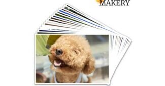 사진인화 최고의 마음에 쏙드는 상품 한방에 비교하기