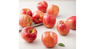 꿀유명한사과 선택하기 어려워하는 당신을 위한 방송인기상품 선택노하우