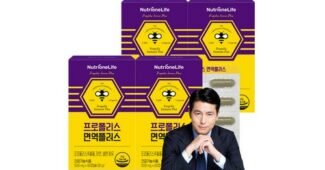 프로폴리스 공공연한 비밀! 보물같은 상품 한눈에 보기