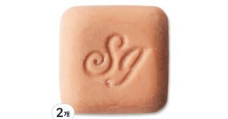 생귄차량용방향제 소문의 바로 그 상품! 필수품 BEST9