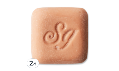 생귄차량용방향제 소문의 바로 그 상품! 필수품 BEST9