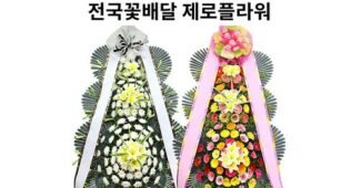 배칠수꽃배달 연예인들이 먼저 찾는 방송인기상품 찾기