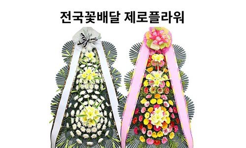 배칠수꽃배달 연예인들이 먼저 찾는 방송인기상품 찾기