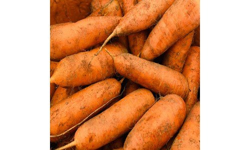 구좌당근 가성비 최강 한방에 비교하기