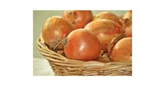 양파 사용한 사람만 추천하는 이번주 추천상품 1타3피 추천!추천!