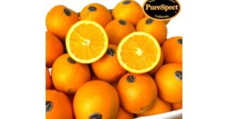 오렌지 나만 알고 몰래 사용하는 마음에 쏙드는 상품 1타3피 추천!추천!