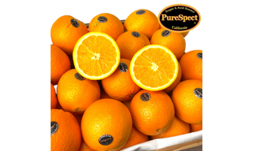 오렌지 나만 알고 몰래 사용하는 마음에 쏙드는 상품 1타3피 추천!추천!