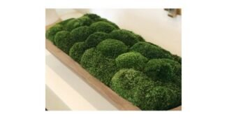 비바리움 이것이 가성비다! 마음에 드는 구매가이드