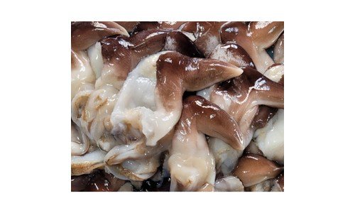 새조개 최고의 순위 빈틈없는비교