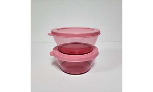 타파웨어 추천 보물같은 상품 한 눈에 보기