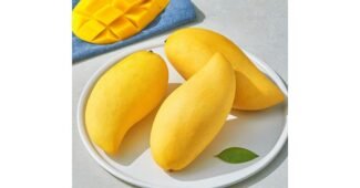 망고 추천 순위 구매포인트