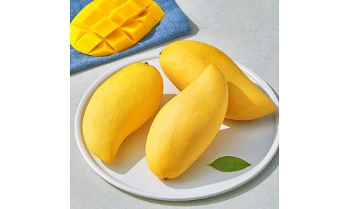 망고 추천 순위 구매포인트