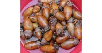 미더덕 정말 놓치면 아까운 신뢰가 쌓이는 적극추천