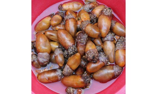 미더덕 정말 놓치면 아까운 신뢰가 쌓이는 적극추천