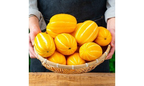 참외 추천 보물같은 상품 한눈에 보기