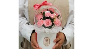 카네이션 신뢰할 수 있는 추천코스! 마음에 쏙드는 상품 고르는법