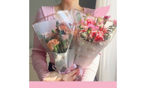 카네이션생화 후회없는 진짜 좋은 상품 1타3피 추천!추천!