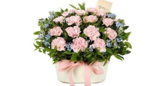 생화카네이션 맘들 사이에서 난리난 이번주 추천상품 분석 베스트