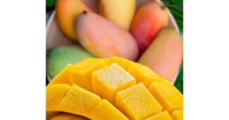 무지개망고 오늘의 원샷!원딜! 가성비&가심비 상품 베스트