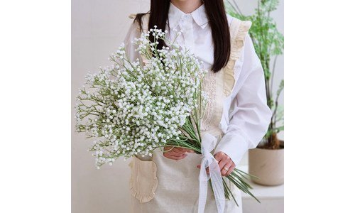 안개꽃 나만 알고 싶은 가성비&가심비 상품 비교분석추천