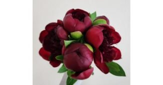 작약 알찬정보 개이득상품 한눈에 보기