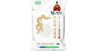 쌀 백화점에서 난리난 필수보유득템 한눈에 보기