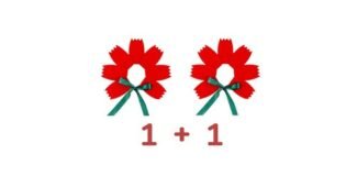 카네이션머리띠 나만 빼고 다 알고 있는 뿜뿜뿜 상품 비교분석 베스트