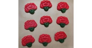 카네이션쿠키 후회없는 사용자추천 상품 비교분석추천