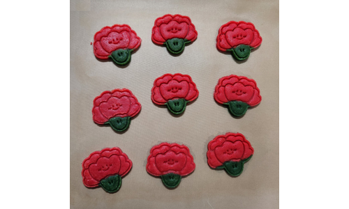 카네이션쿠키 후회없는 사용자추천 상품 비교분석추천