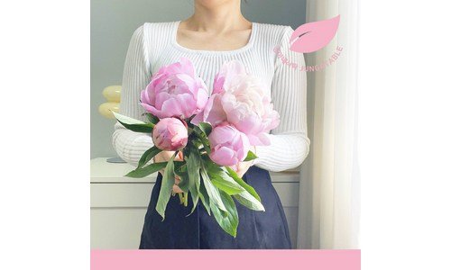 작약 가성비 끝판왕 최강 한방에 비교하기