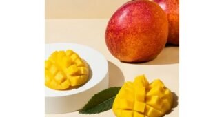 애플망고 대신 선택해 드립니다! 개이득상품 베스트