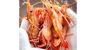 독도새우 후회하지 않을 쇼핑포인트! 사용자추천 상품 1타3피 추천!추천!