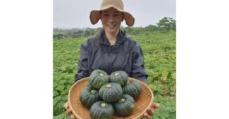 단호박 선택하기 어려워하는 당신을 위한 순위 분석 베스트