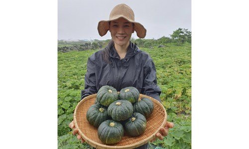 단호박 선택하기 어려워하는 당신을 위한 순위 분석 베스트