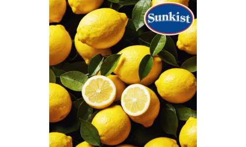 레몬 공공연한 비밀! 사용자추천 상품 빈틈없는비교