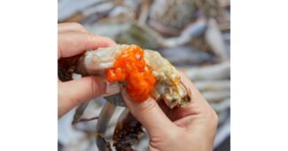 꽃게 기똥찬제안! 사용자추천 상품 한 눈에 보기